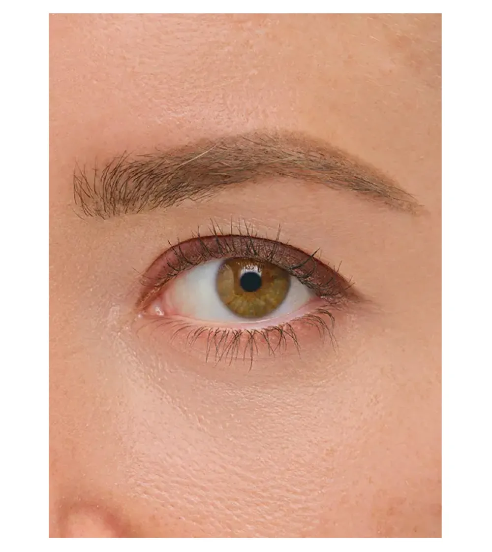 - Delineador de ojos Line Artist - 2: Equestrian>About-face