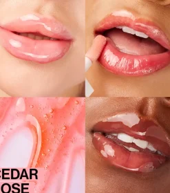 Aceite labial - Cedar Rose>Wet n Wild Clearance