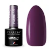 Esmalte semipermanente Soak off - 621: Purple>Claresa Hot