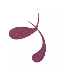 Eyeliner líquido metálico COLOUR it! - 02: Dark Cherry><noscript><img width=