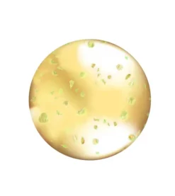 L.A Colors - Brillo de labios Lip Oil - CLG442: Hunnybun>L.A. Colors