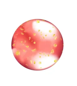 L.A Colors - Brillo de labios Lip Oil - CLG446: Strawberry Fizz>L.A. Colors