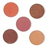 Pack de 5 sombras de ojos en godet magnéticas - Burnt>Revolution Pro Best