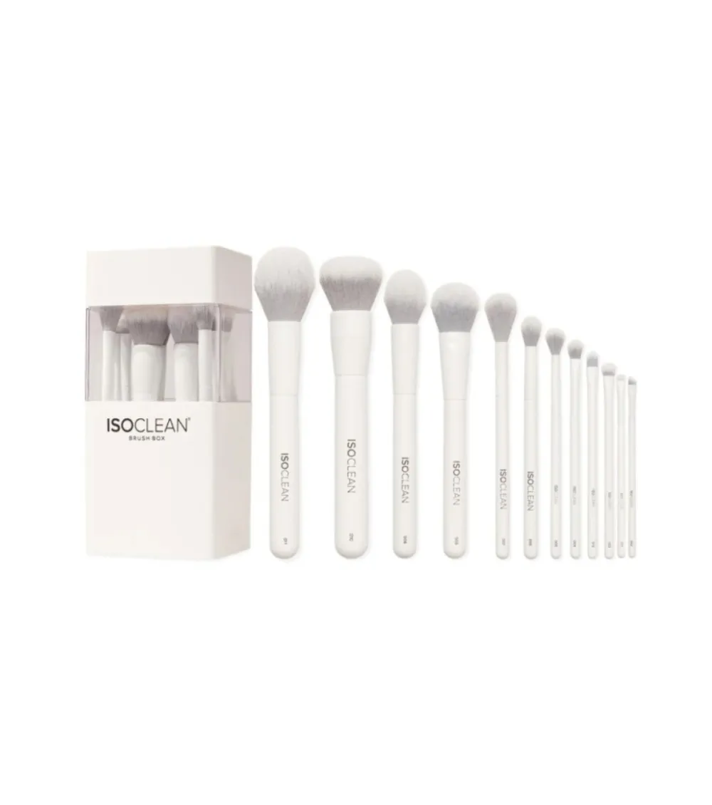 Set de 12 brochas>ISOCLEAN Discount