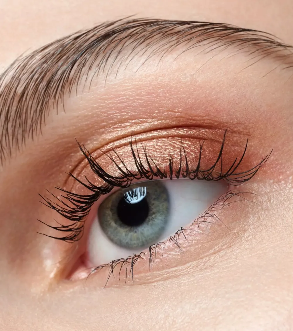 Sombra de ojos Art Couleurs - 440: Bronze Bliss>Catrice New