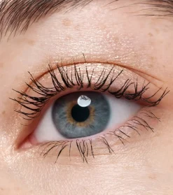 Sombra de ojos en crema Metallic Spark - 010: Champagne Chic><noscript><img width=