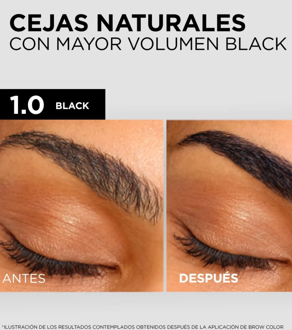 Tinte de cejas semipermanente Brow Color - 1.0: Black>Loreal Paris Best