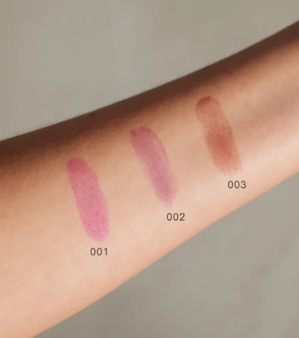 Tinte de labios Lip Stain - 003: Dark Chocolate>Gosh